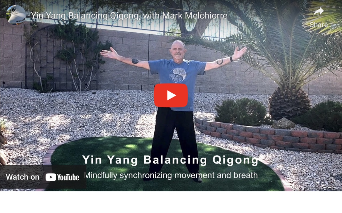 Screenshot of Yin Yang Balancing Qigong Video