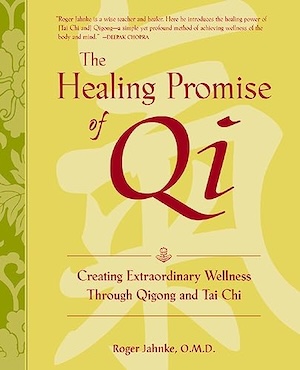healing-promise-of-qi-jahnke